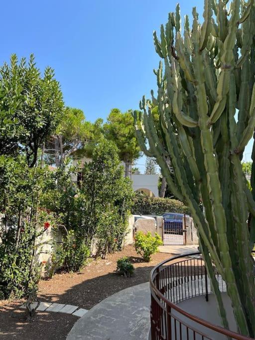 Villa Marika Fontane Bianche Bagian luar foto